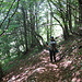 in discesa nel bosco