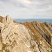 Panoramablick vom Wildhuser Schafberg, links Altmann 2435m