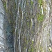 Wasserfall am Fels