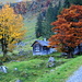 The huts near Schlipf and two colorful trees