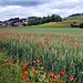alle weiteren Container eingebettet in einer wunderbaren Landschaft