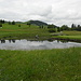 Teich mit dem Golfplatz von Gonten