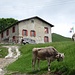 rifugio Murelli, CAI Moltrasio