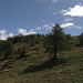 attraversamento nevaio