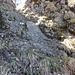 Nagelflueabsatz auf dem Bergwanderweg von Ober nach Unter Beichli. Bei Nässe die schwierigste Stelle zwischen Zuger Älpli und Gnipen. 