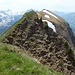 Erster Vorgipfel, direkt vor dem Hengst. Im Hintergrund ist über dem Schneefeld das Gipfelkreuz und der Triangulationspunkt des Schimbrig auszumachen. 