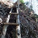 Der Bergweg von Ober Urmi auf den Vitznauerstock hat schon bessere Zeiten erlebt! Holzleiter morsch und teilweise weggebrochen, Seil uralt und teilweise mantellos - aber immerhin!