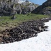 Durchschlupf von der Alp Zingel zum Träsmerenband und somit zur Südflanke des Wasserbergfirsts (dessen Gipfelkreuz bereits über dem Neuschnee sichtbar ist). 