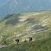 Ivan e Gabri  sullo sfondo l' Alpe Bardughe