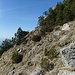 Im Goldauer Bergsturzgebiet: steilere Wegpassage kurz vor Punkt 1533