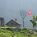All'alpe Bardughè