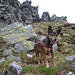 Suni,oggi reginetta in Val Verzasca