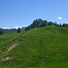 und um 13.30 kam nicht das angekündigte schlecht Wetter, sondern die Sonne! (Panorama vom Lachengrat 1)