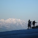 snowboard, cani... c'è un po' di tutto!