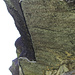 dettaglio del gocciolatoio dello splugo murato del Chiall