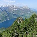 Auf der anderen Seite des Urner Sees Niderbauen Chulm und links davon Oberbauenstock. 