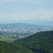 Auf dem Aussichtsturm, Blick gegen Zürich