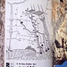 Topo