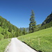 Unterwegs zwischen Steg und Valüna - Rückblick. Der erste Teil unserer Wanderung führt über gut ausgebaute Alpsträßlein.