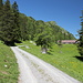 Unterwegs zwischen Valüna und Gapfahl Obersäss - Kurz vor Passieren der Alp Waldboda.