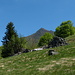 Der Pizzo Leone ([http://www.hikr.org/tour/post49460.html am Vortag besucht]), von der Alp Löda aus gesehen.