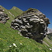 Unterwegs zwischen Gapfahl Obersäss und Rappensteinsattel - Blick über herrliche Blumenwiesen und vorbei an schönen Felsen in Richtung Goldlochspitz.