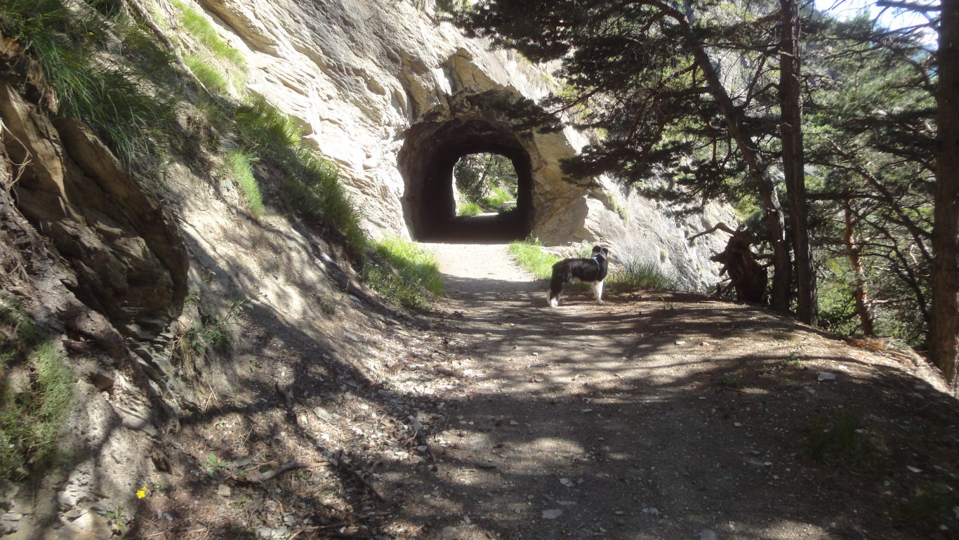 Wieder mal ein Tunnel - Fotos [hikr.org]