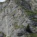 Klettersteig Gantrisch, wird gerade begangen…