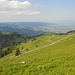 Abstieg bei der Alp Stofel über Wiesen, dahinter ist das Untere Rheintal zu erkennen