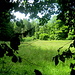 Verschwiegene Winkel im Bullerbachtal