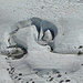 glacier art (Peppo pic)