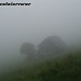 Der Hüttenanger "taucht" aus der Nebelsupper auf