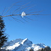 ---> Die gleiche Aufnahme vom Winter: Die doppelte Alpspitze. (Blid von [u Gero])<br />© Georg