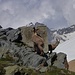 Tagesgäste an der Britanniahütte. 