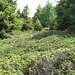 wunderschöne Natur