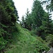 schöner Pfad