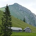 Alp Birchboden mit Tomlishorn SW-Grat im Hintergrund