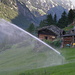 Spritzer auf  Alp Telwaldji