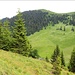 Blick vom Grasleitenkopf hinüber zum Seekarkreuz