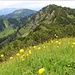 Blick vom Auerkamp zum Ochsenkamp