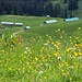 im Aufstieg zum Seekarkreuz
