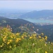 schöner Blick vom Ochsenkamp zum Tegernsee