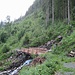 gut ausgebaut, der Wanderweg vom Niesen zur Gsässweid