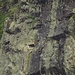 in der Schweiz wäre es wohl etwas militärisches. Hier tippen wir auf ein gemauertes Nest für einen Vogel (Wanderfalke?)