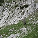 Alpiner-Weg