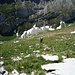 Steile Grasflanke im Aufstieg zum Klettereinstieg Widderalpstöck