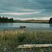Kanufahrt auf dem Yukon River & Big Salmon River in Yukon / Kanada