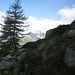 Panorama sulla Valle di Gressoney