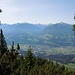 Blick durch die Latschen auf die Tuxer Alpen