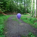 Dieser Ballon, Teilnehmer eines Weitflugwettbewerbs, ist in den abgelegenen Tiefen des Duinger Berges gelandet. 